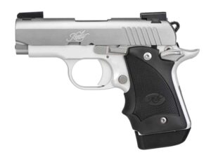 Kimber Micro 9 Stainless