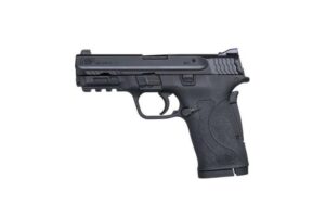 Smith & Wesson M&P Shield 380 EZ