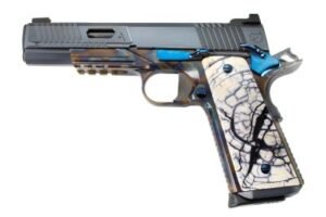 Nighthawk VIP Agent 2